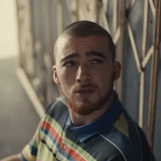 🧬 29a56b7d telegram sticker