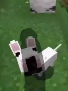 Больше стиков тут: @stikery4 telegram stickers