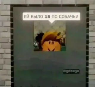 🐶 7e788642 ЕЙ БЫЛО 18 ПО СОБАЧЬИ testo, russo, espressione, cagnolino telegram sticker