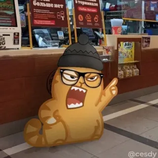 🤬 23c3d9af Kreskówkowy kot, Zły kot, Kot w okularach, Naklejka kot telegram sticker