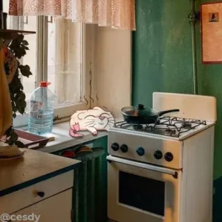 😋 77986a39 @cesdy kot, kuchnia, okno, kuchenka, pokój telegram sticker