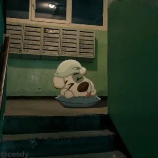 😴 bd4899d0 @cesdy kreskówka, śpiący, pies, poduszka, słodki, senny, kapelusz, czapka do spania telegram sticker