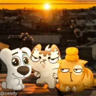 🌅 be758bee @cesdy kot, pies, kreskówka, zwierzęta, zachód słońca telegram sticker
