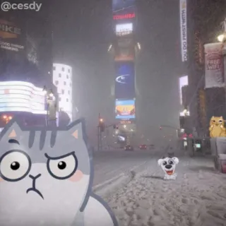 🤨 d9f2a7a5 kot, Times Square, śnieg, kreskówka, miasto, zima telegram sticker