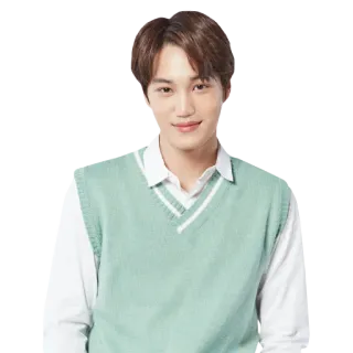 😊 2dc626bb 男人, 肖像, 人物, 韩国人, 亚洲人, 毛衣背心 telegram sticker