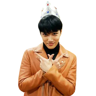 🤴 b3d94a12 人, 皇冠, 男人, 夹克 telegram sticker