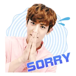 🙏 bfb91368 SORRY ごめん, 謝罪, k-pop, 韓国, 男の子, 手, 表情 telegram sticker