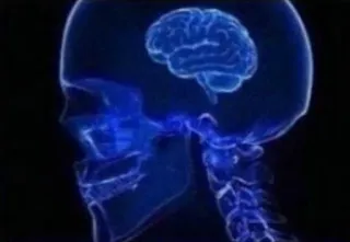 👤 4bbec8b4 otak, tengkorak, sinar-x, anatomi, medis telegram sticker