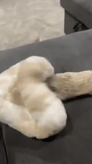 😡 7b7f0215 whatsapp sticker