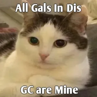 👀 bccf85f9 All Gals In Dis
GC are Mine Katze, Meme, Lustig, Humor, Tier, Haustier whatsapp sticker