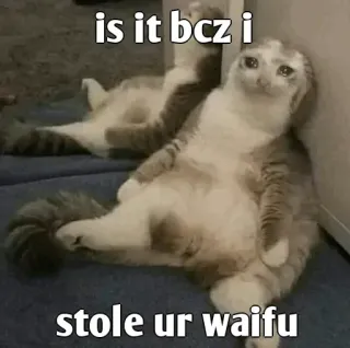 😭 cb89e5e7 is it bcz i stole ur waifu cat, meme, waifu, stole, sad, funny, internet telegram sticker