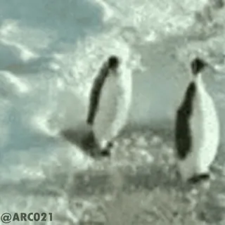 Iɴɴᴏᴄᴇɴᴛ Zᴇʀᴏᥫᩣ's kang pack telegram stickers