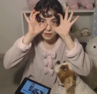 Wife (@CalsiBot) whatsapp stickers