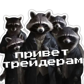 👋 2dcb9cd6 Привет трейдерам szop pracz, zwierzęta, tekst, rosyjski, cześć, handlowcy, biznes telegram sticker