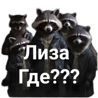 🦝Бинанс🫶 telegram stickers