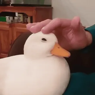 Video Favorite stickers :: @fStikBot telegram stickers