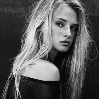 🙄 c22e28e2 ผู้หญิง, ภาพเหมือน, ผมบลอนด์, นางแบบ, ขาวดำ, ผู้หญิง, ใบหน้า telegram sticker