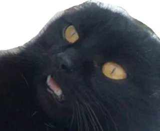 Halp telegram stickers