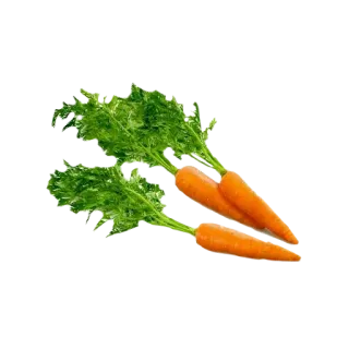 🌳Fairy house🥕 telegram stickers