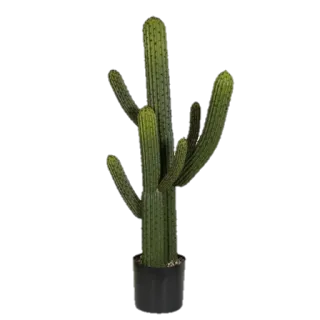 🌳Fairy house🥕 telegram stickers