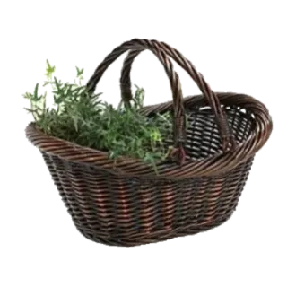 🧺 7974ca30 giỏ, cây, đan, hộp đựng, thiên nhiên, trang trí nhà, mộc mạc telegram sticker