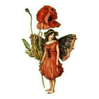 🌺 effe8c24 tiên, hoa, hoa anh túc, cánh, đỏ, cô gái telegram sticker