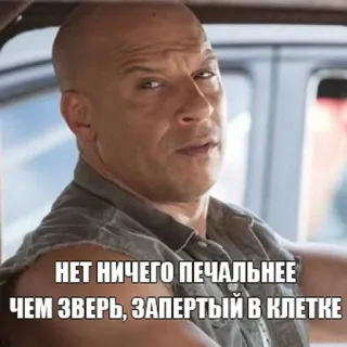 🐺 d6bc61fd Vin Diesel НЕТ НИЧЕГО ПЕЧАЛЬНЕЕ ЧЕМ ЗВЕРЬ, ЗАПЕРТЫЙ В КЛЕТКЕ film, aktor, selebriti, mobil, serius telegram sticker