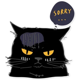 😢 07943538 SORRY Katze, Entschuldigung, Sorry, Süß, Sticker, Illustration telegram sticker