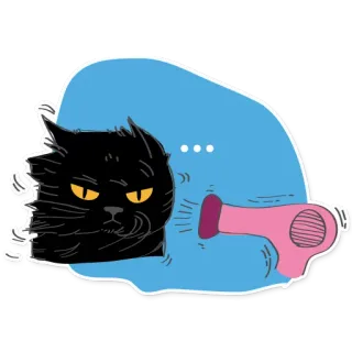 😐 87e7ea1b Katze, Föhn, Tier, schwarze Katze, Haustier, Cartoon, lustig telegram sticker