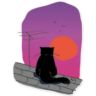 🍂 a1e502a9 Katze, Sonnenuntergang, Dach, Silhouette, Vögel, Himmel telegram sticker