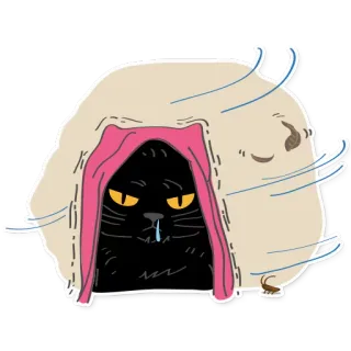 ❄ f24ae285 Katze, Wind, traurig, lustig, süß, Tier telegram sticker