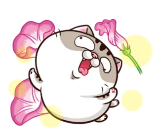 😊 e718b5c9 cat, flower, cute, animal, sticker, cartoon telegram sticker