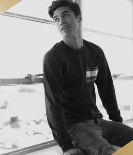 fate whatsapp stickers