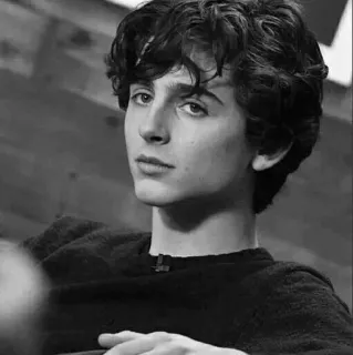📎 740c89bf Timothée Chalamet actor, portrait, celebrity, man, black and white telegram sticker