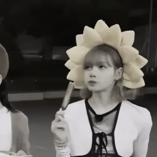 🎧 5dff5239 Lisa K-pop, idol, flower crown, Lisa, blackpink whatsapp sticker