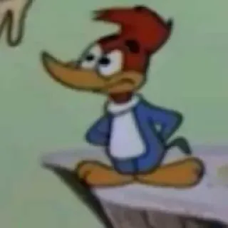 😳 e437247d Woody Woodpecker Cartoon, Woody Woodpecker, Vogel, Lustig, Klassischer Cartoon whatsapp sticker