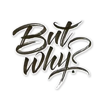 🙈 b3baf90a But Why? คำถาม, วลี, การพิมพ์, การประดิษฐ์ตัวอักษร telegram sticker