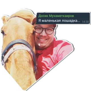 🐴 7677e455 Я маленькая лошадка... uomo, cammello, animale, occhiali, selfie whatsapp sticker