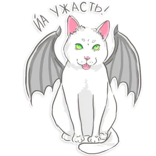 Кот Шикааарный whatsapp stickers