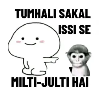 🐒 f06dce2c TUMHALI SAKAL ISSI SE MILTI-JULTI HAI cartoon, monkey, text, hindi, insult telegram sticker