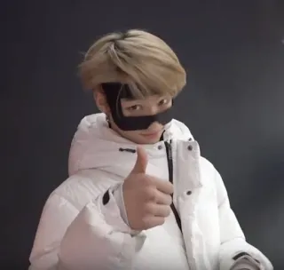 🌟 0344ccfc persoon, zonnebril, jas, man, koreaans, aziatisch telegram sticker