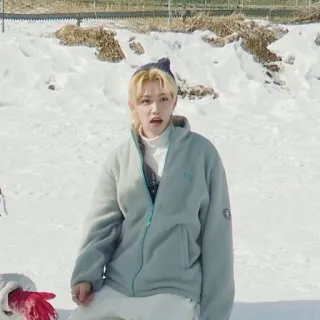 🌟 391ec1c5 persoon, sneeuw, winter, jas, buiten, portret telegram sticker