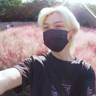 🌟 e1c8d5ef Felix Felix, Stray Kids, K-Pop, Masker, Selfie, Roze veld telegram sticker