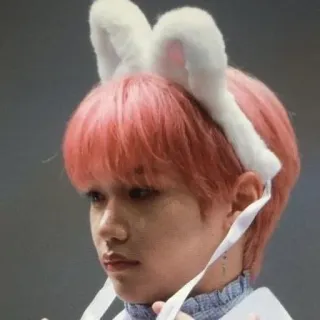 🌟 ec5b181d persoon, portret, konijnenoren, roze haar telegram sticker