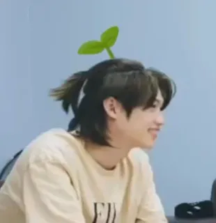 🌟 fa9e3e3a telegram sticker