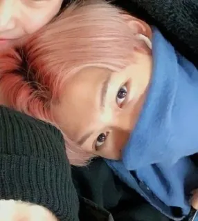 🌟 fd0564ff telegram sticker