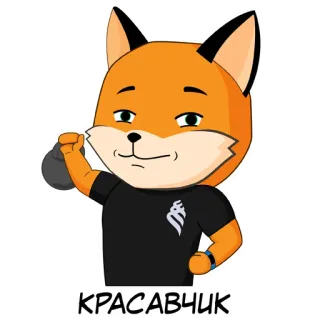 🥊 34d6e8b6 КРАСАВЧИК 狐狸, 动物, 举重, 壶铃, 卡通, 英俊, 帅哥 telegram sticker
