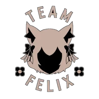 TEAM FELIX telegram stickers