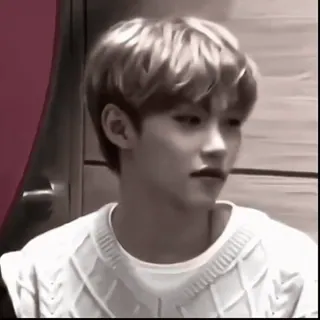 🦐 52b742ee whatsapp sticker