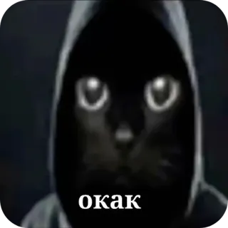 👍 195ec312 окак gatto, felpa con cappuccio, meme, testo, russo telegram sticker